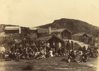 Whakerewarewa, 1889 oder 1890 (Albuminabzug)